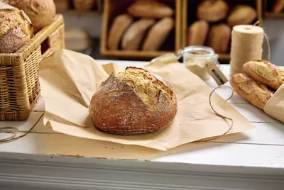 Masa Madre en polvo Sapore Traviata