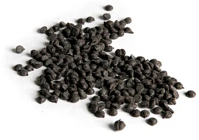 Decoración y complementos