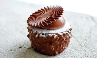 Belcolade Selection M. Plant-Based Cacao-Trace
