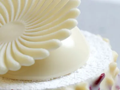 Belcolade Selection B. Plant-Based Cacao-Trace