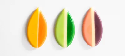 Choco Hojas Colores