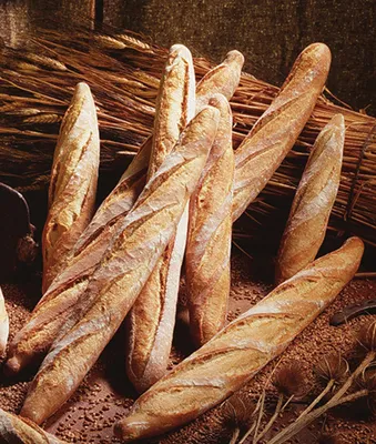 Easy Campestre 50% Clean Label