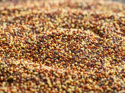 GrainDesign Confetti