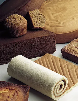 Integral Biscuit New