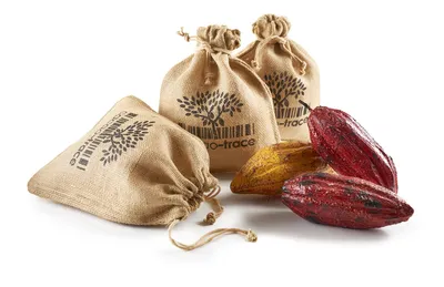 Kit Cacao-Trace superior