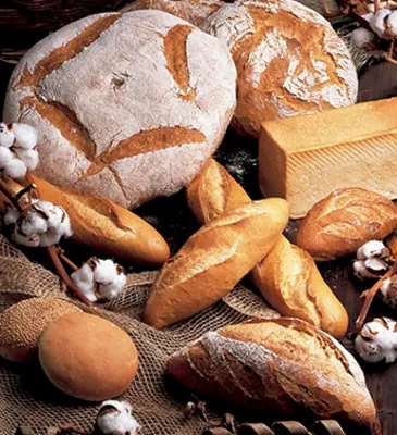 S500 Acti-Plus Atlas