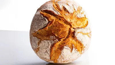 Payés Sauvage Matrum