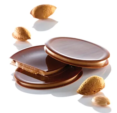 Praliné Amande 50% Patisfrance