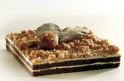 Satin Doble Chocolate