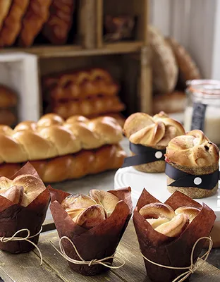 Masa Madre en polvo Sapore Carmen