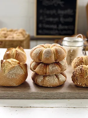 Masa madre en polvo Sapore Rigoletto