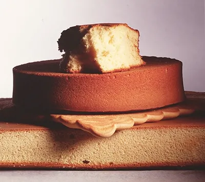 Tegral Biscuit Universal