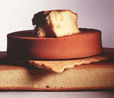 Tegral Biscuit Industrial