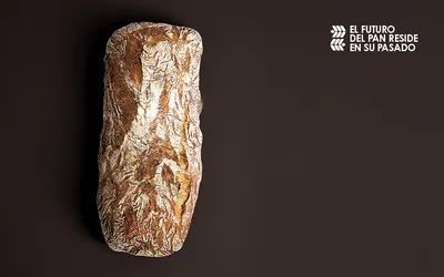 Ciabatta elaborada con Masa Madre