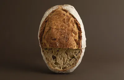 Chusco con Granos Germinados